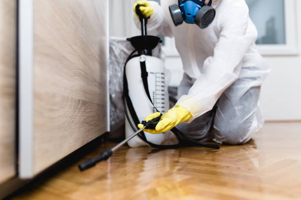 Best Local Pest Control Services  in Wilton, IA