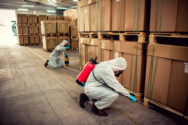 Best Pest Inspection Near Me  in Wilton, IA
