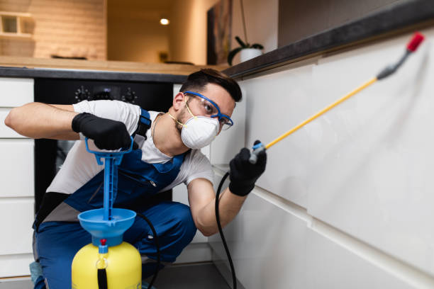 Best Best Pest Control Companies  in Wilton, IA