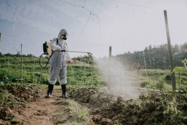 Best Ant Control Services  in Wilton, IA