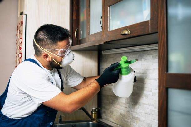 Best Affordable Pest Control Services  in Wilton, IA