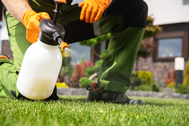 Best Pest Removal Services  in Wilton, IA