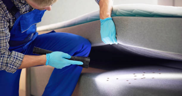 Best Exterminator Services  in Wilton, IA