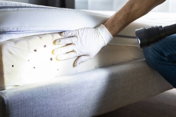 Best Best Pest Control Companies  in Wilton, IA