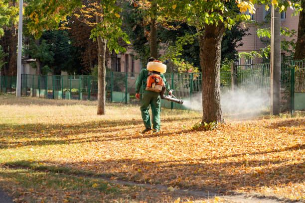 Best Wildlife Control Services  in Wilton, IA
