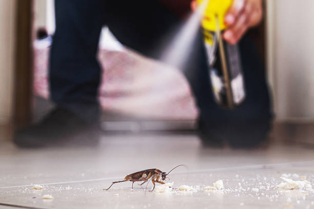 Best Residential Pest Control  in Wilton, IA