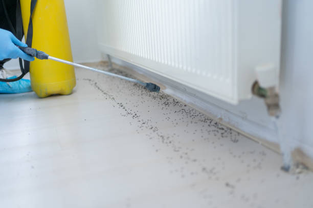 Wilton, IA Pest Control Company
