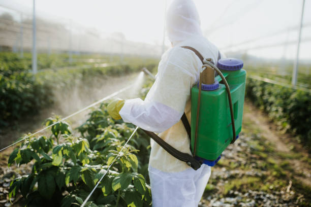 Best Local Pest Control Services  in Wilton, IA